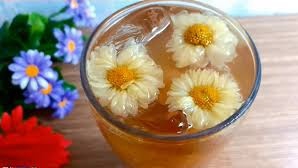Có bầu uống nước sâm bông cúc được không? Ai không nên uống sâm bông cúc?