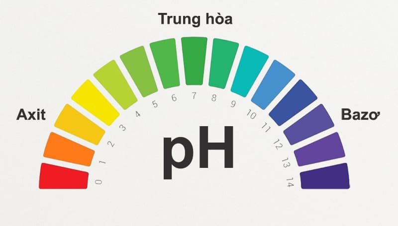 Độ pH máu là gì? Nguyên nhân độ pH trong máu giảm 1
