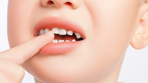 Giải phẫu răng: Cấu tạo và chức năng của từng loại răng 4