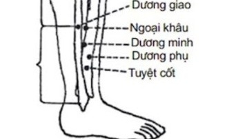 Vị trí huyệt Tuyệt Cốt nằm ở đâu trên cơ thể?