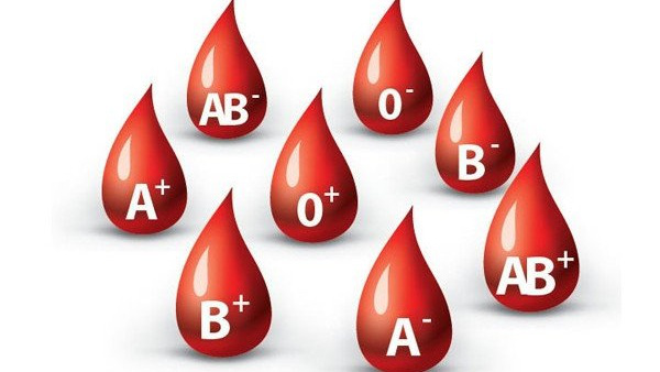 Sơ đồ các nhóm máu ABO gồm những nhóm máu nào?
