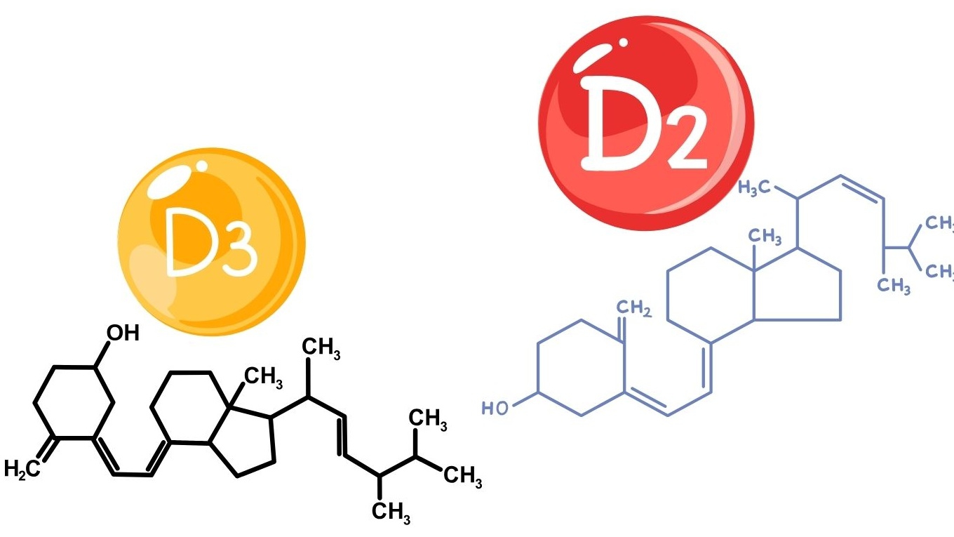 Tìm hiểu chi tiết về sự khác nhau giữa vitamin D2 và D3