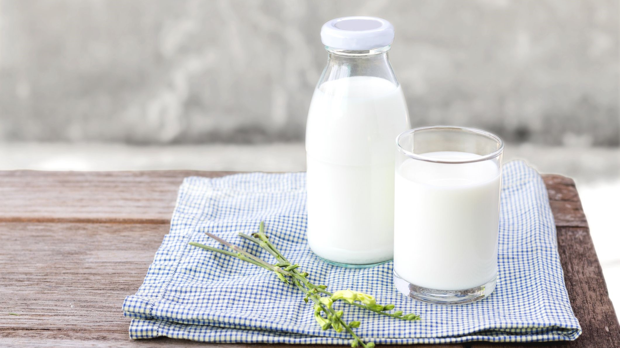 Sữa dê có chứa Lactose không? Một số lợi ích và rủi ro của sữa dê