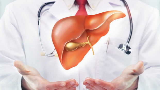 Phương pháp giúp gan giải độc lành tính mà hiệu quả
