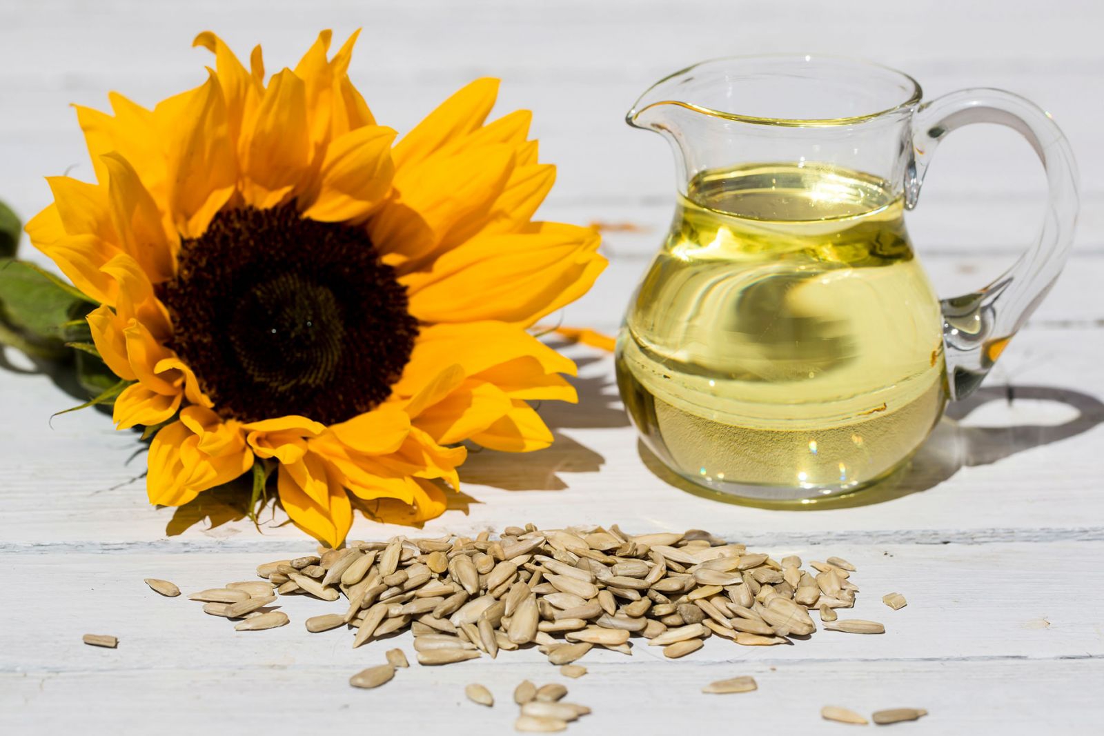 Sunflower oil là gì? Công dụng của Sunflower oil trong mỹ phẩm 1