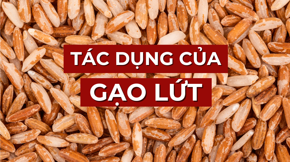 12 tác dụng của gạo lứt có thể bạn chưa biết