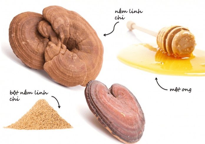 Tác dụng thần kì của nấm linh chi pha mật ong với sức khỏe