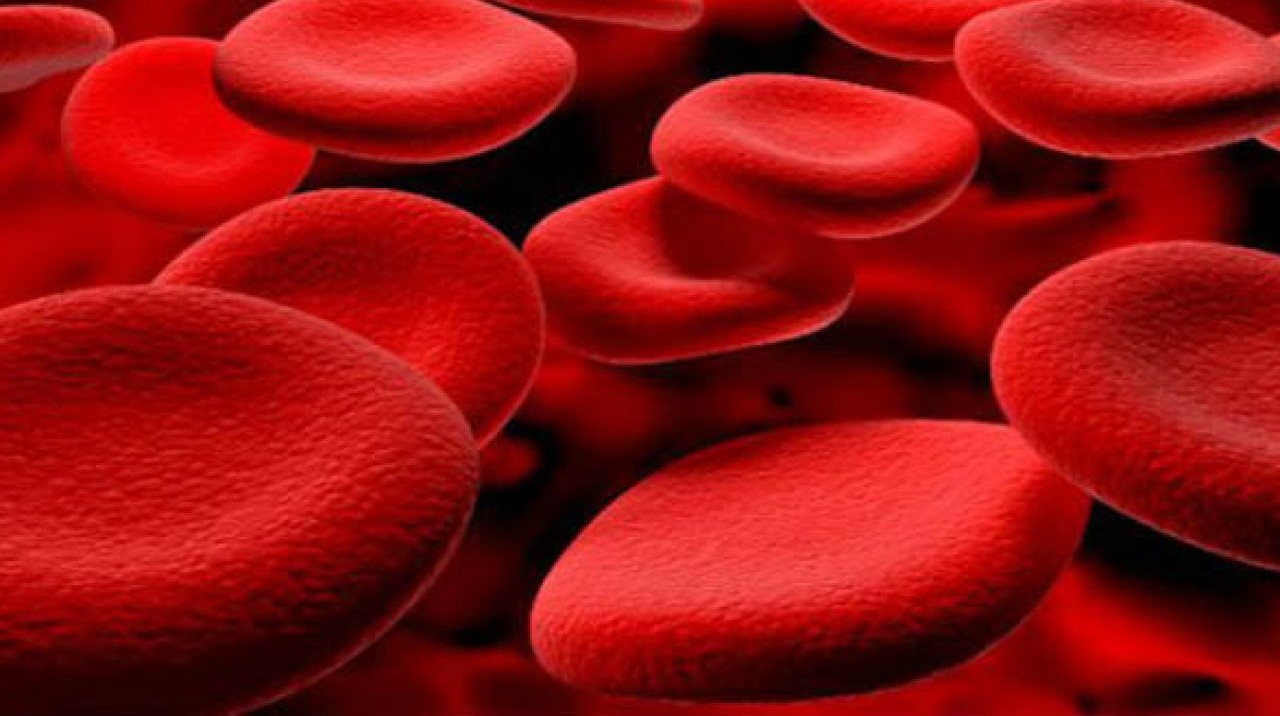 Tại sao cần sàng lọc thalassemia? Các xét nghiệm giúp chẩn đoán bệnh thalassemia 