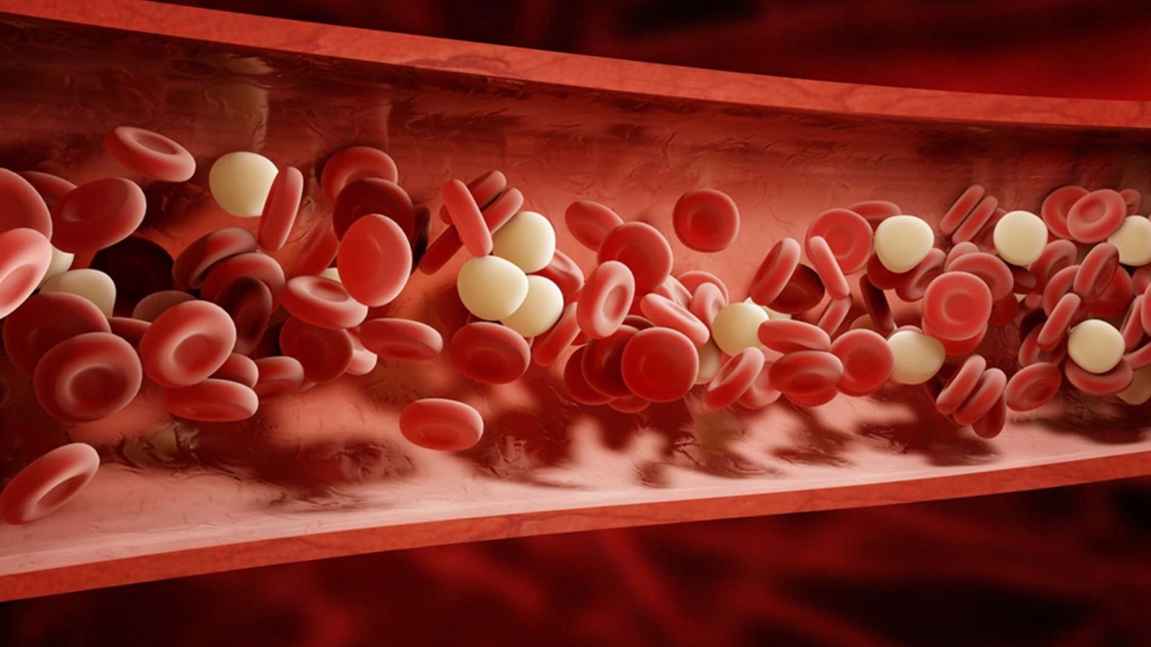 Nhóm máu B+ thuộc hệ thống nhóm máu ABO như thế nào?

