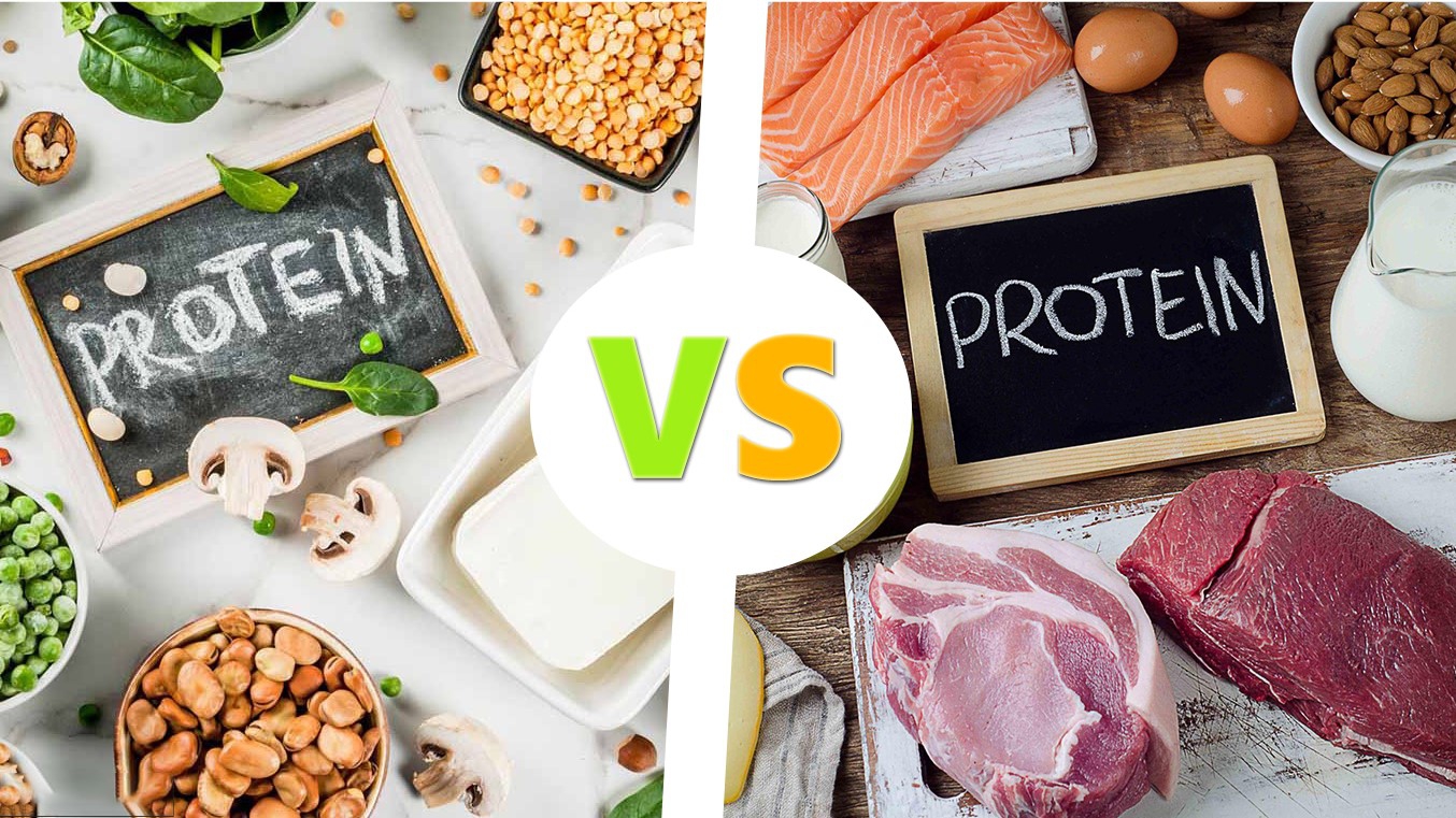 Tầm quan trọng của protein trong chế độ ăn uống