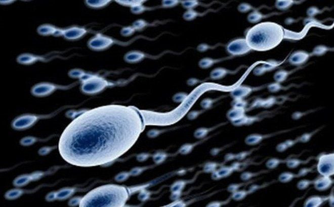 Thai 12 tuần nhịp tim 160 là trai hay gái? Những yếu tố ảnh hưởng đến giới tính của thai nhi 3