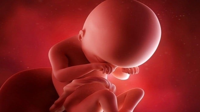 Tại sao thai kì đầu của một thai phụ đối với sự phát triển cân nặng của thai nhi rất quan trọng?
