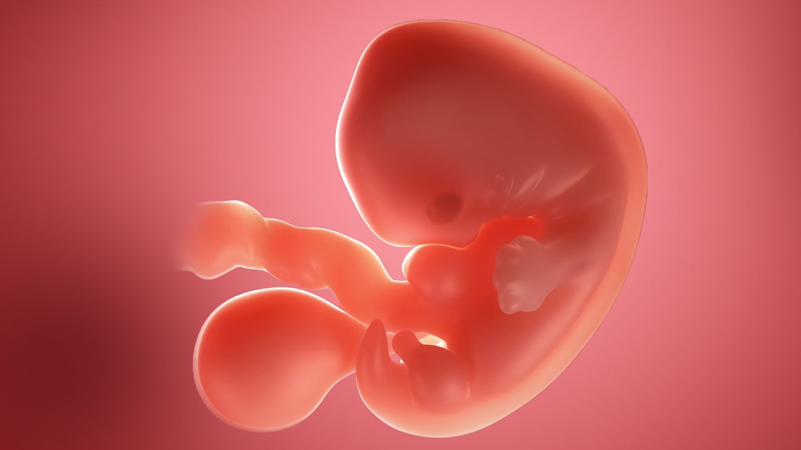 Cách nhận biết thai 5 tuần siêu âm bụng hay đầu dò một cách chính xác