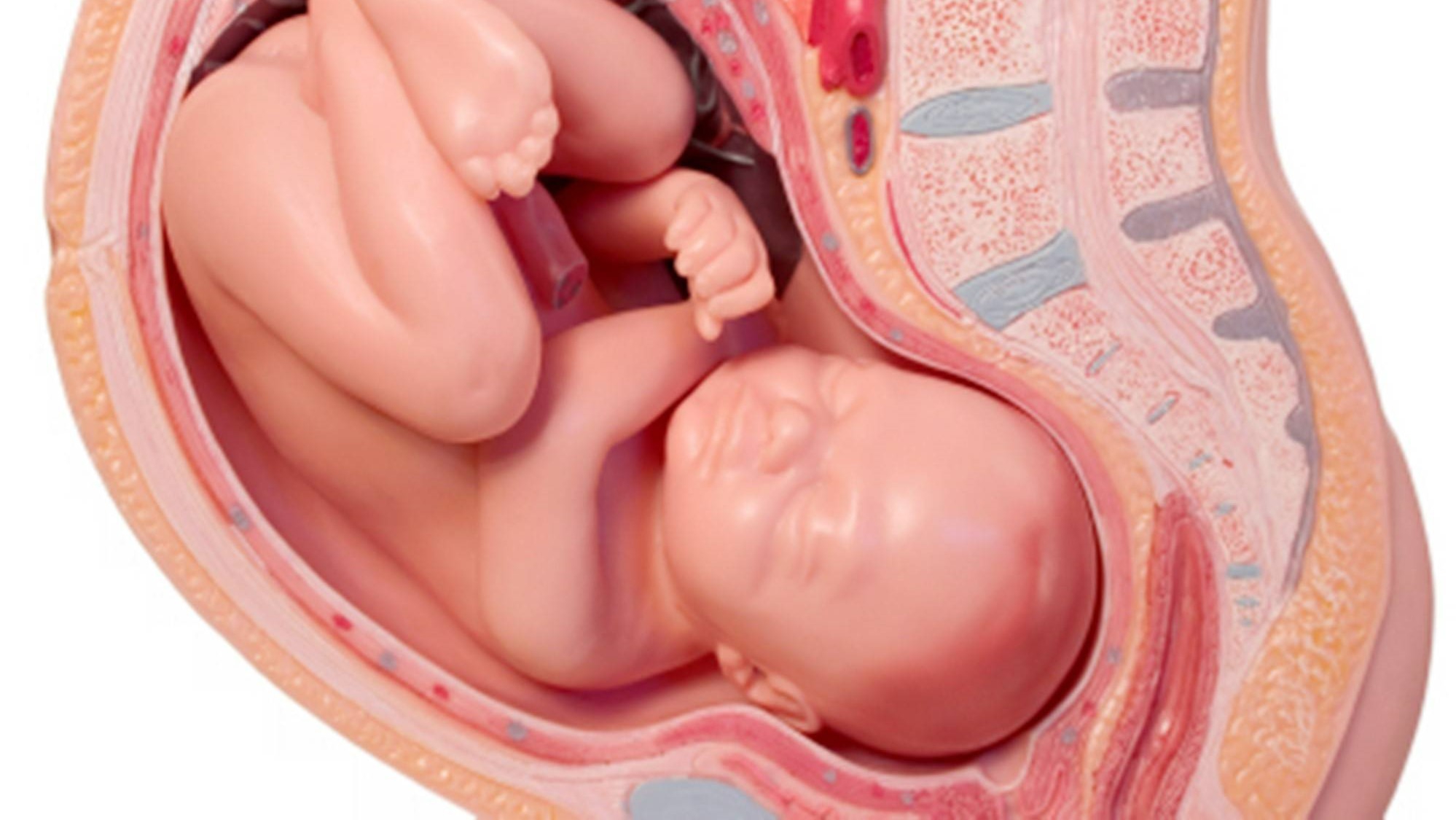 Nếu thai nhi không quay đầu đúng cách thì liệu có ảnh hưởng gì tới sản phụ và thai nhi không?
