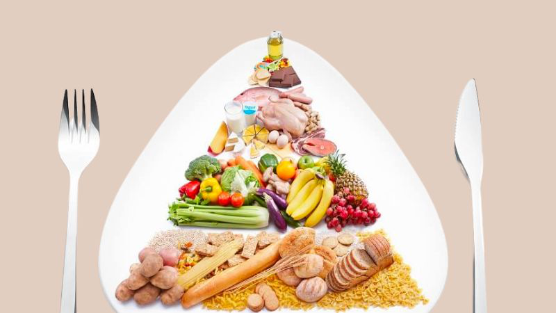 Tháp dinh dưỡng và những điều bạn cần biết