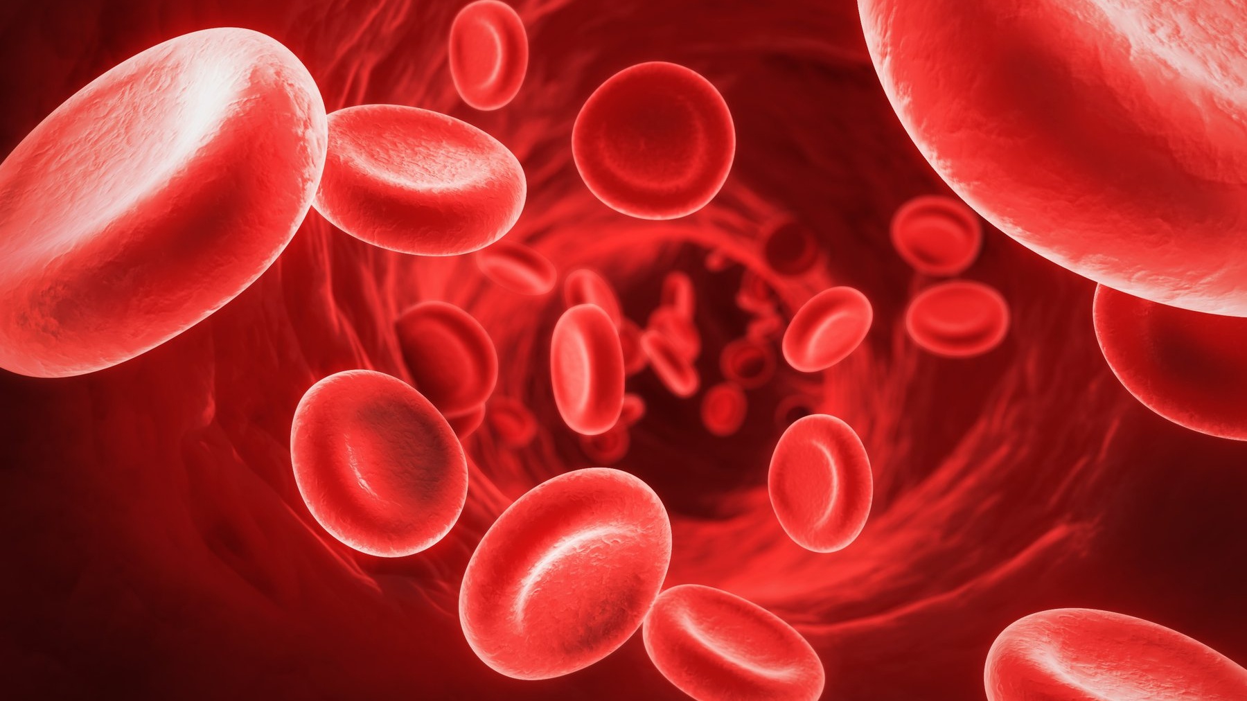 Thức ăn nào khác có thể giúp tăng hồng cầu trong máu nếu hồng cầu giảm?