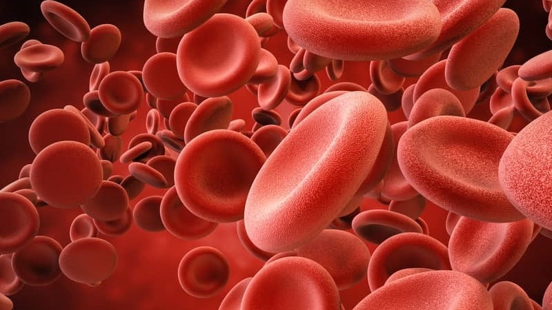 Tiến trình điều trị và quản lý thiếu máu hồng cầu nhỏ là gì?
