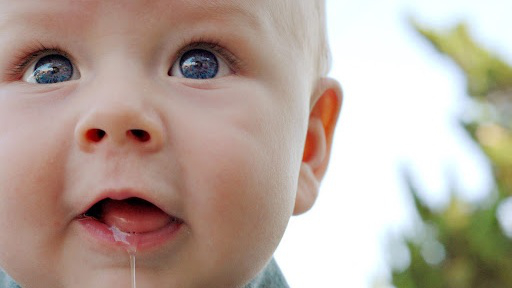 Thứ tự mọc răng sữa ở trẻ mà bố mẹ nên biết 2