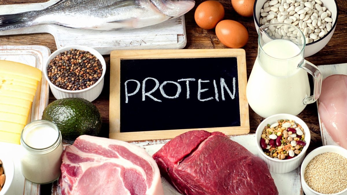 Protein có phải là đạm không? Cách bổ sung protein cho cơ thể