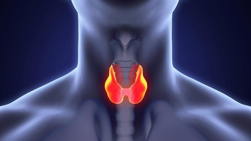 Thyroid là gì và những bệnh lý thường gặp