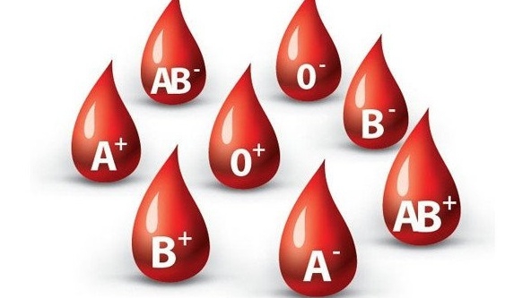 Cho biết tên và kí hiệu của các nhóm máu phổ biến trong hệ ABO và hệ Rh.
