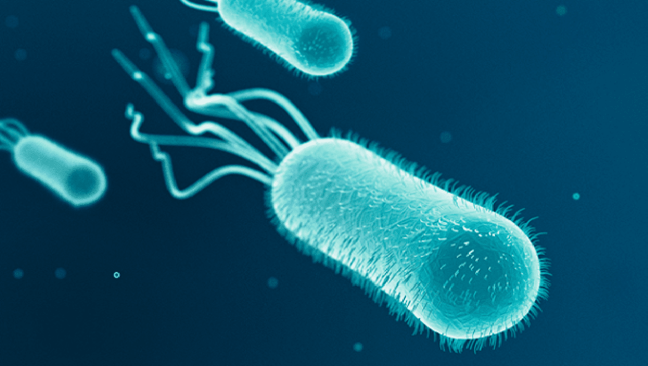 Nguyên nhân khiến nguồn nước nhiễm vi khuẩn Coliform