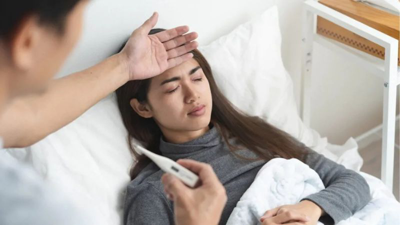 Tình trạng bệnh dại do chó mèo thả rông và cách phòng ngừa 2