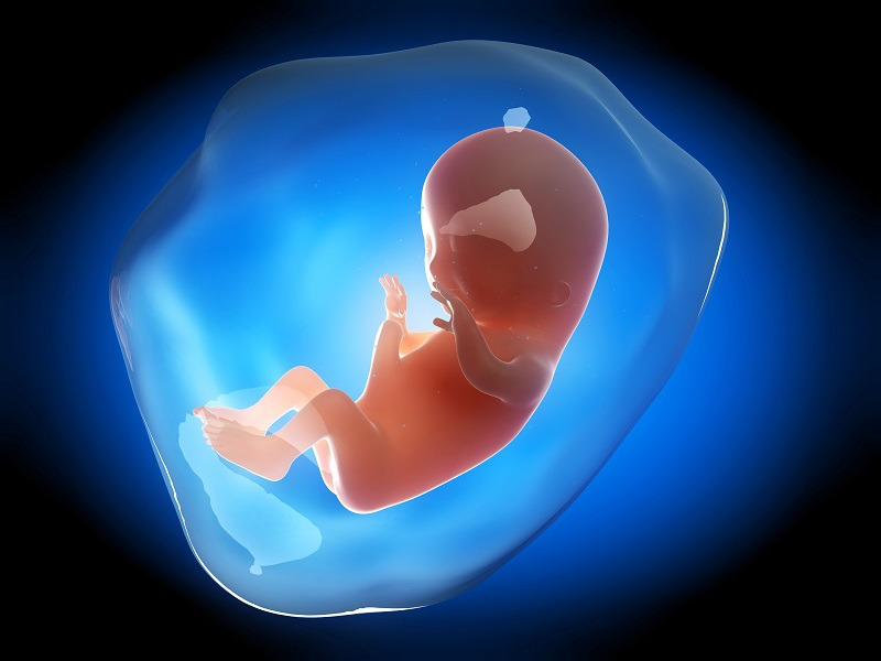 Tóm tắt các giai đoạn phát triển của thai nhi từ tuần 1 - 41 2