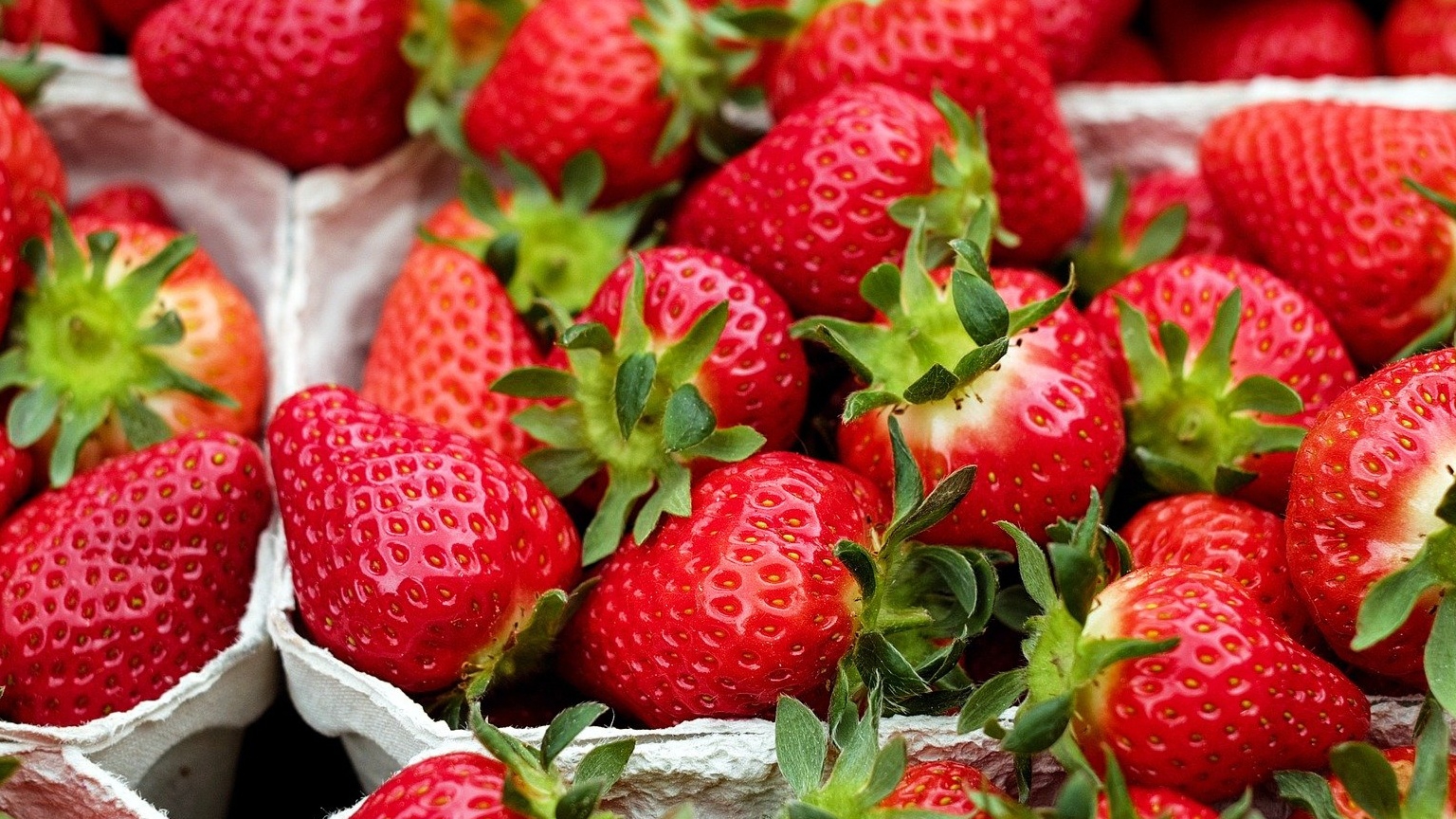 Top 10 bệnh lao phổi nên ăn quả gì giúp phục hồi sức khỏe tốt nhất