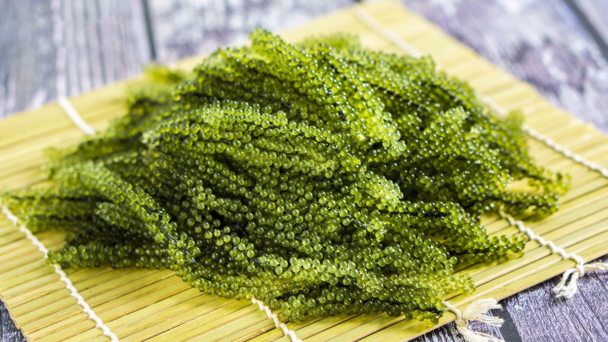 Top 3 cách chế biến rong nho cho bé an toàn bổ dưỡng