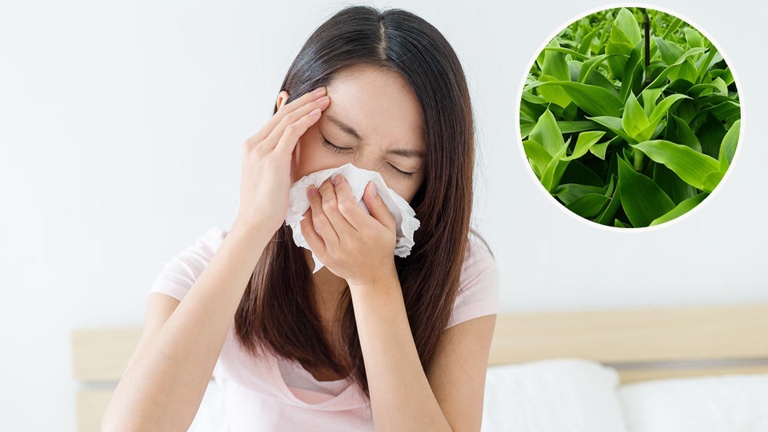 Top 3 cách chữa viêm xoang hiệu quả ngay tại nhà 