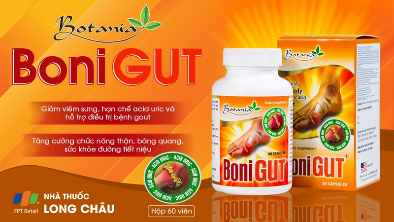 Thực Phẩm Chức Năng Giảm Axit Uric: Giải Pháp Hỗ Trợ Hiệu Quả Cho Người Bệnh Gout