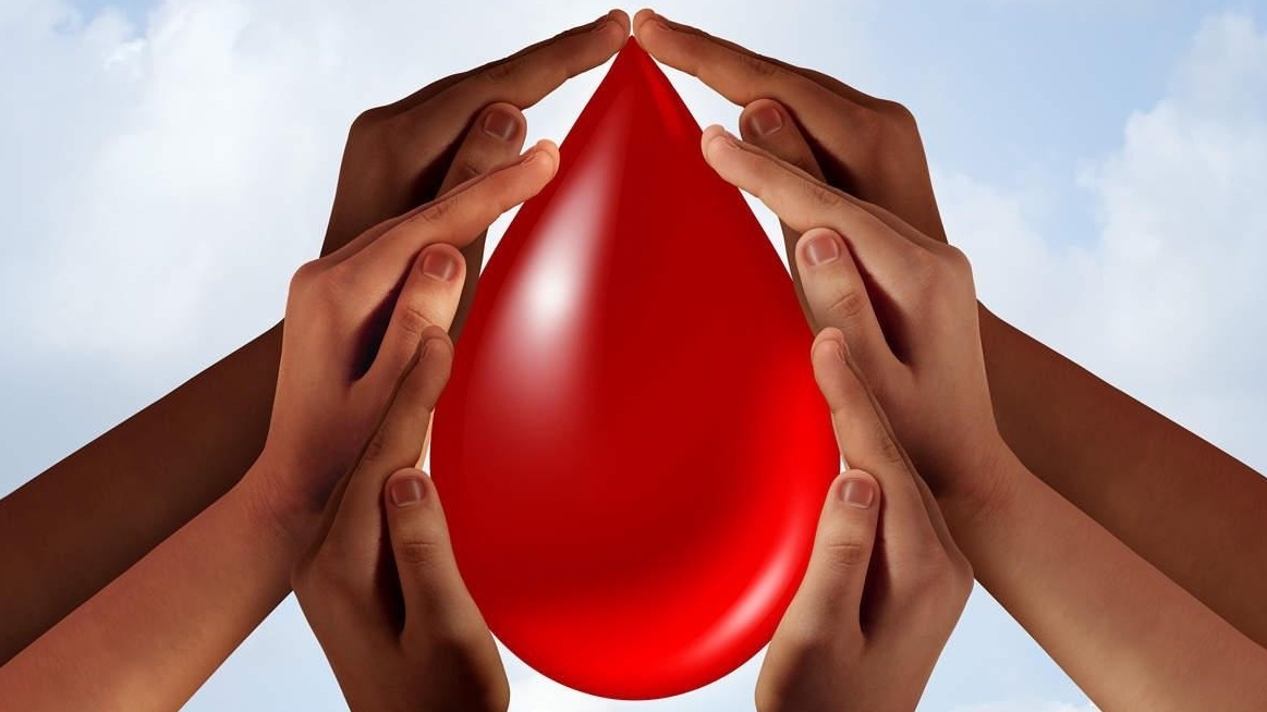 Bên cạnh việc kiểm tra số lần hiến máu, còn có thông tin quan trọng nào khác mà cần cung cấp? 
