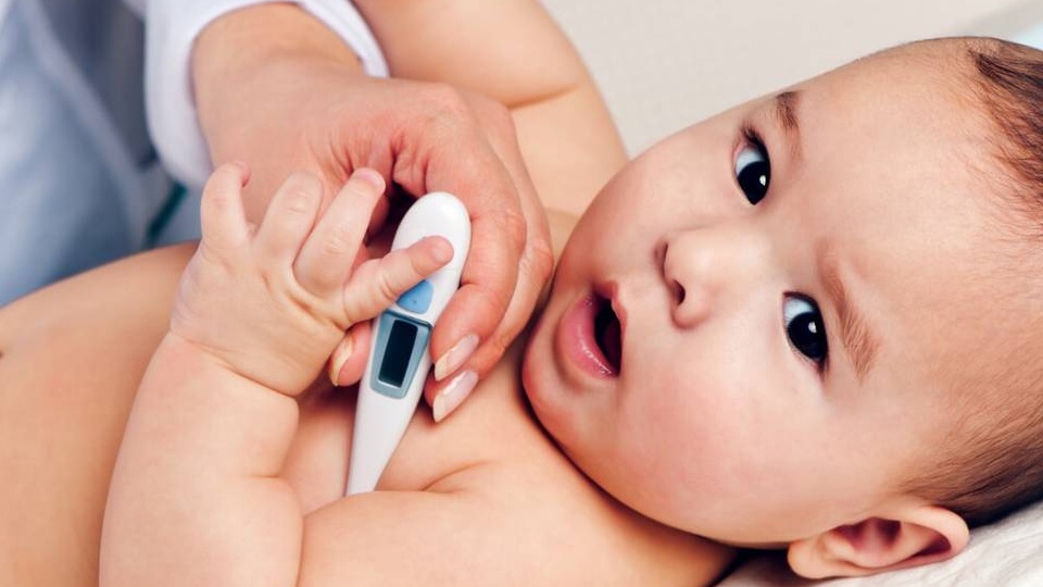 Trẻ sơ sinh bị sốt có thể ăn cháo hành - tía tô không?
