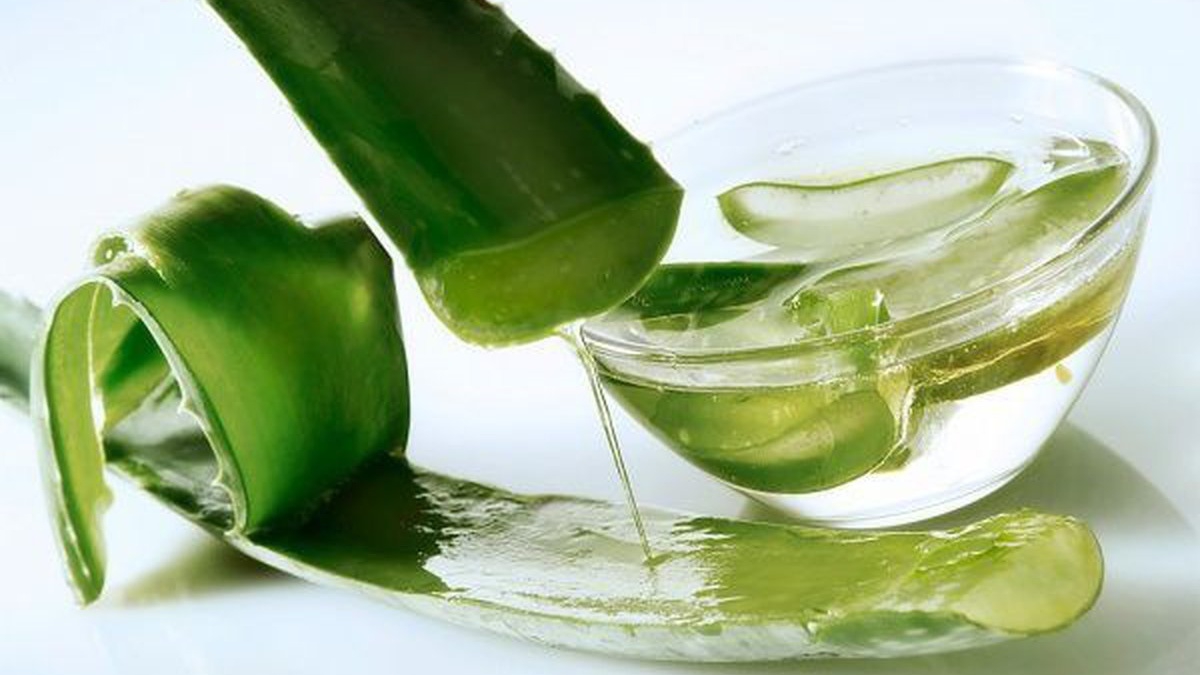 Trị đau mắt đỏ bằng nha đam, bạn đã biết chưa?