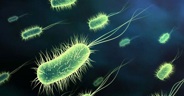 trieu-chung-ngo-doc-thuc-pham-do-clostridium-perfringens.jpg