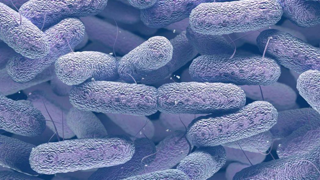 Triệu chứng nhiễm trùng vi khuẩn klebsiella pneumoniae