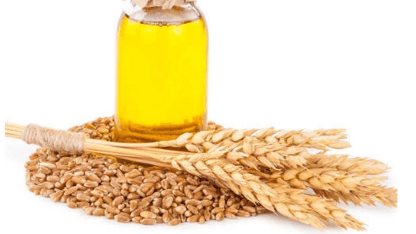 Triticum Vulgare (Wheat) Germ Oil là gì? Công dụng của thành phần này trong làm đẹp 2