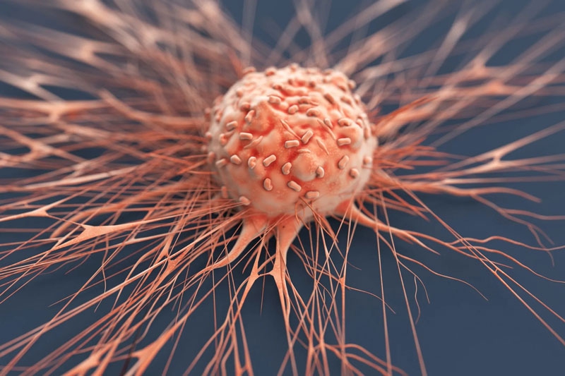 Tumor markers là gì? 6 ứng dụng của tumor markers đem lại trong lâm sàng 3