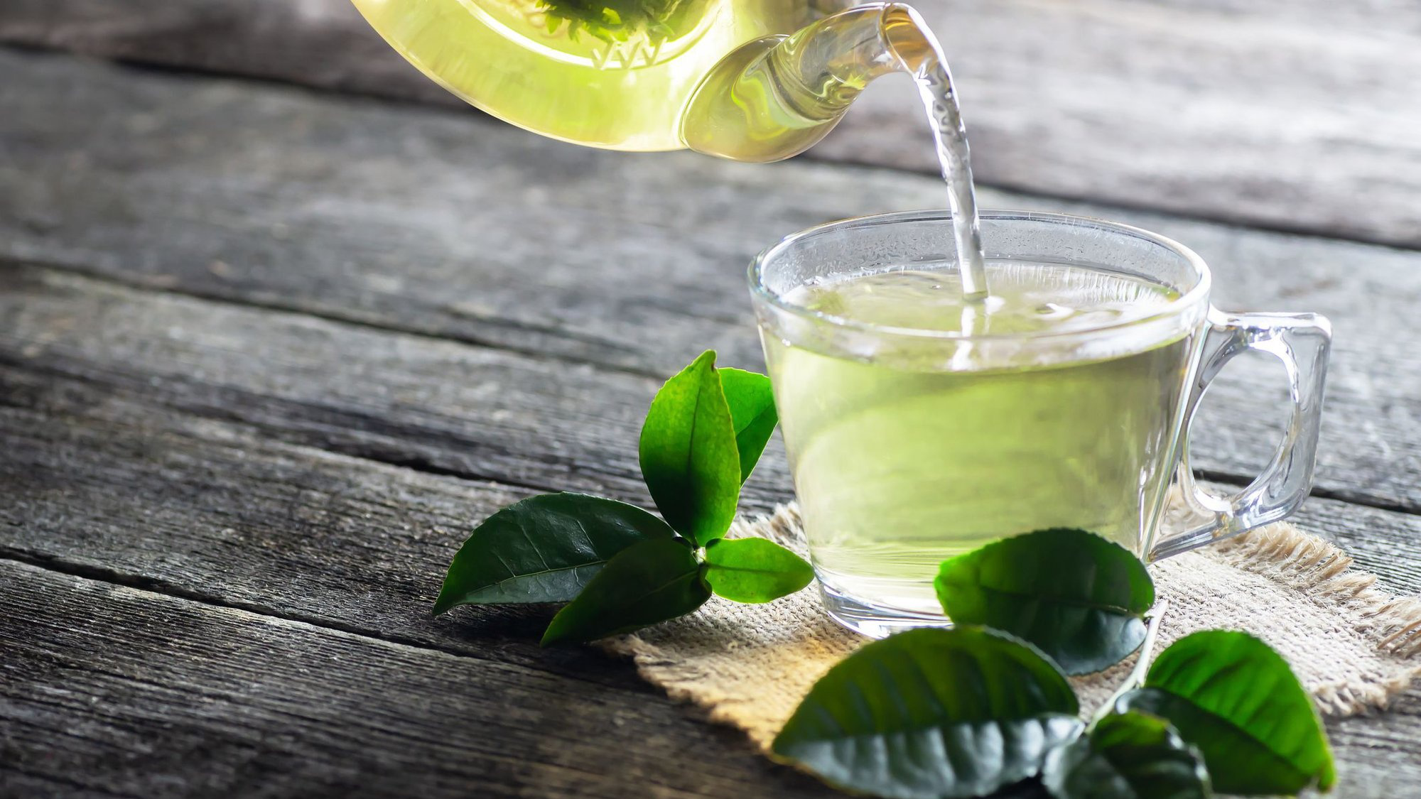 Uống trà xanh tươi mỗi ngày có tốt không? Ai không nên uống?