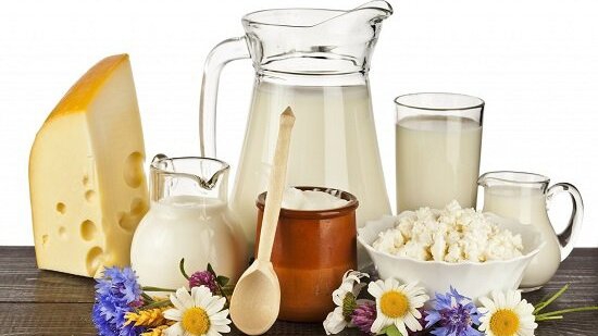 Vai trò của sữa và những chế phẩm từ sữa 1