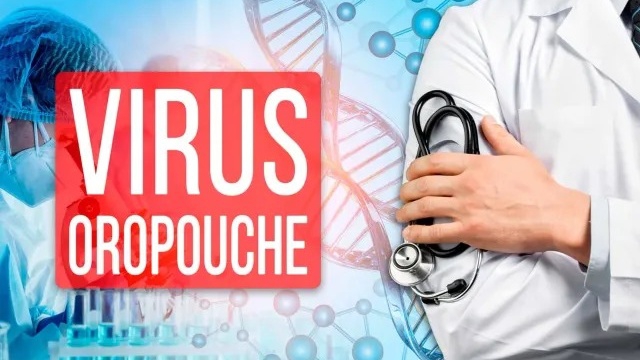 Virus Oropouche: Mối đe dọa mới nổi và những câu hỏi chưa có lời giải đáp 2