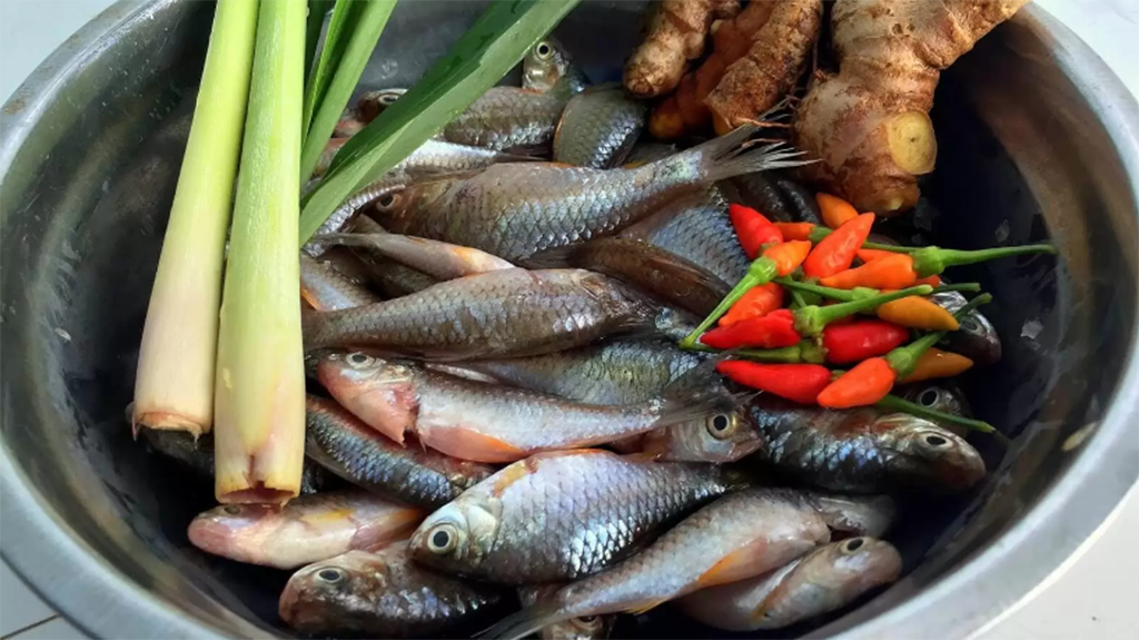 Xăm môi có được ăn cá đồng không? Nên ăn gì sau khi xăm môi?