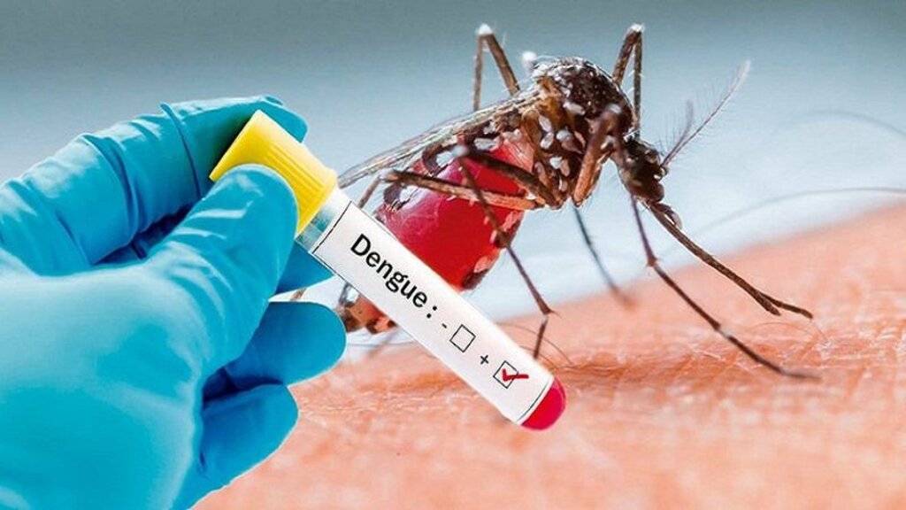 Xét nghiệm Dengue NS1 chẩn đoán bệnh lý gì và có ý nghĩa như thế nào?