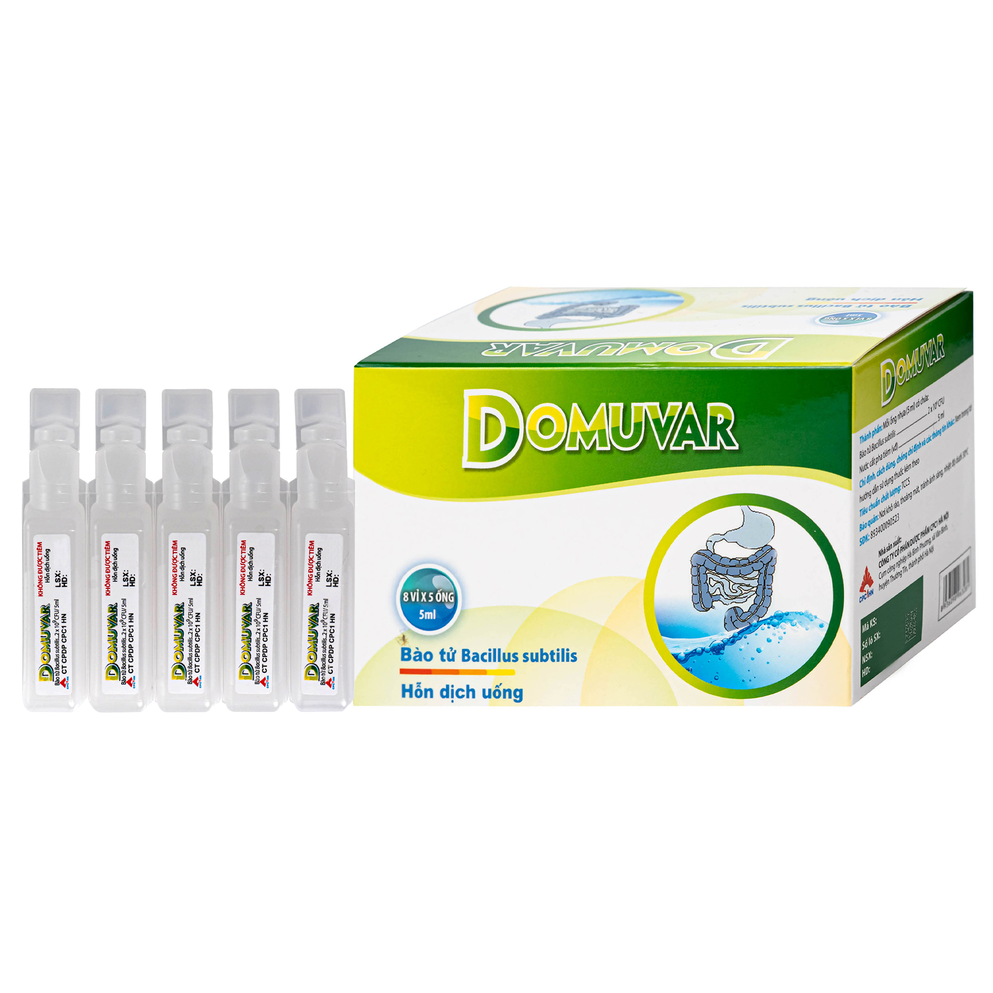 Hình ảnh Thuốc Domuvar CPC1 điều trị và phòng ngừa rối loạn hệ vi sinh vật đường ruột (8 vỉ x 5 ống)