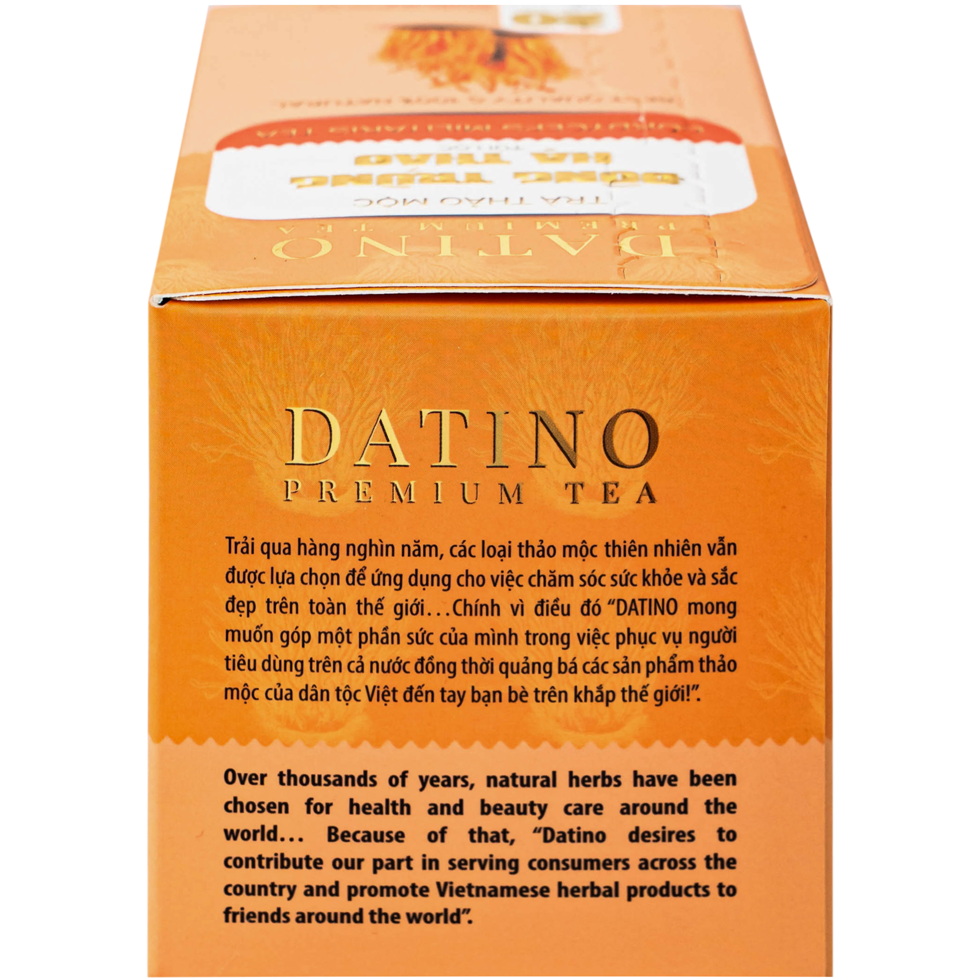 Hình ảnh Trà thảo mộc đông trùng hạ thảo túi lọc Datino premium tea (20 túi x 2,5g)