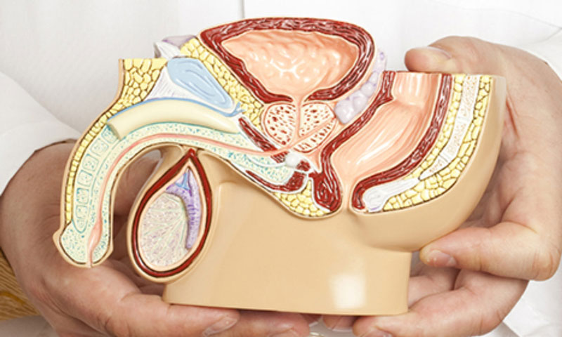 Các thuốc trị viêm tuyến tiền liệt hiện nay? Các lưu ý gì khi sử dụng thuốc+1