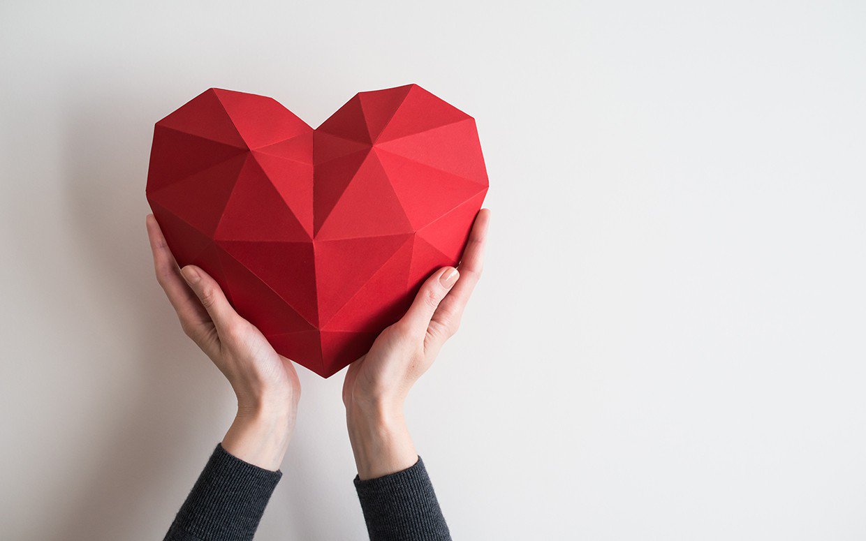 Vỏ Quế có tác dụng bảo vệ tim mạch