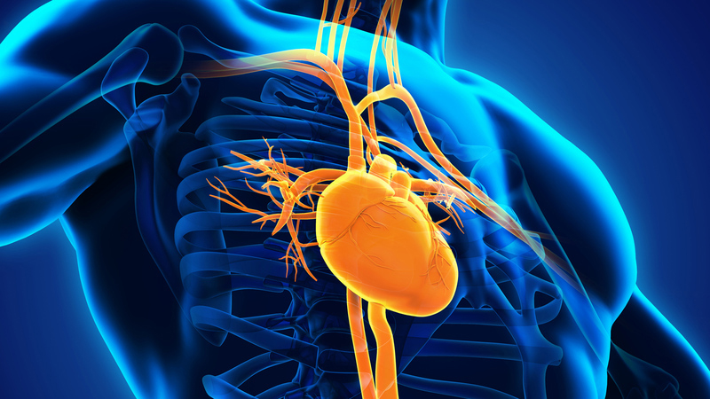 Nên đặt stent graft khi nào, tác dụng ra sao? 1