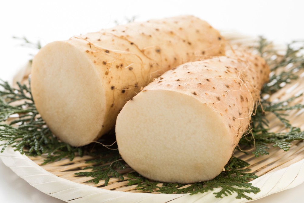 củ mài có tác dụng chữa bệnh